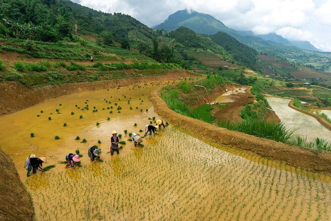 3-Day Pu Luong Natural Reserve from Hanoi, Trek with Local Guide - Price and logistics: is $475 worth it for a 3-day trek from Hanoi?