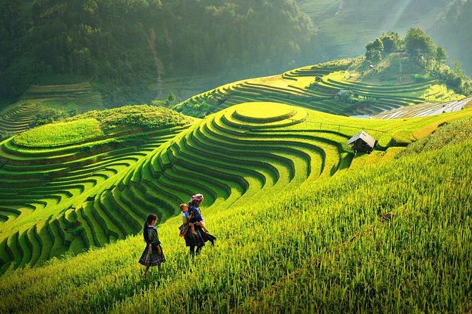 3-Day Sapa Real Valley View Homestay & Fansipan–Roof of Indochina - Group Size, Guides, and How the Trip Feels in Real Life