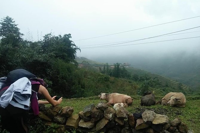 3-Day Trek in Amazing Muong Hoa Valley & ethnic Homestay - Pace, weather, and what to pack for 4 to 7 hours a day
