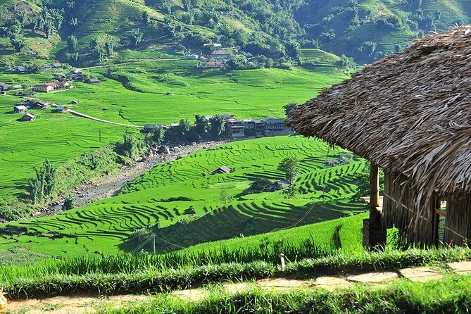 3-Day Trekking Adventure of Sapa from Hanoi - Stay Ta Van Village - Day 1: Y Linh Ho to Ta Van for rice terraces and a solid warm-up