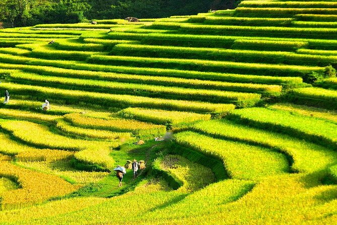 3 Days Pu Luong Off-road Trekking Best for Mountain Lovers - Quick Reasons This 3-Day Pu Luong Trek Works So Well