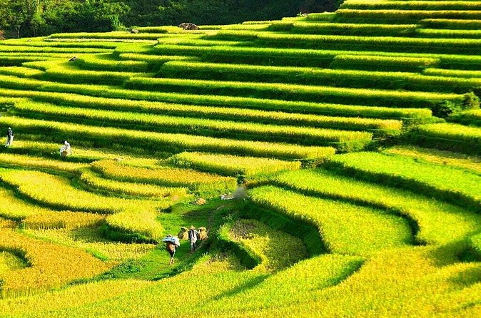 3 Days Pu Luong Off-road Trekking Best for Mountain Lovers - Getting the Most Out of the Trek: Packing and Pace Tips That Matter