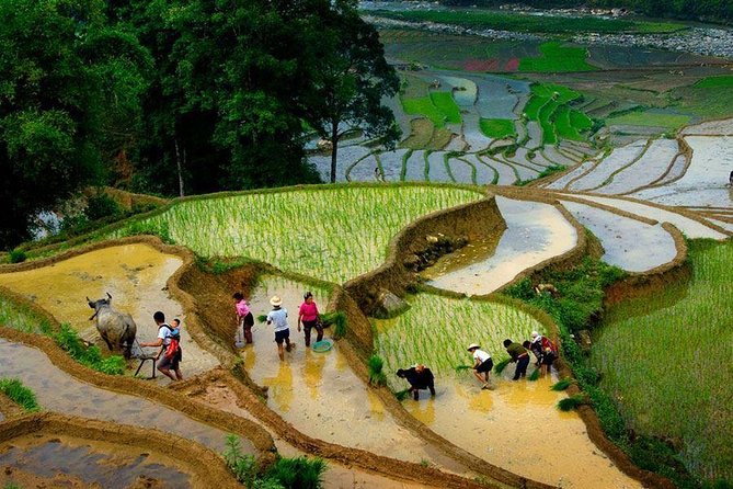 3 Days SAPA Real Experience at Local People House - Price and logistics: what the $98 covers (and why it can be good value)