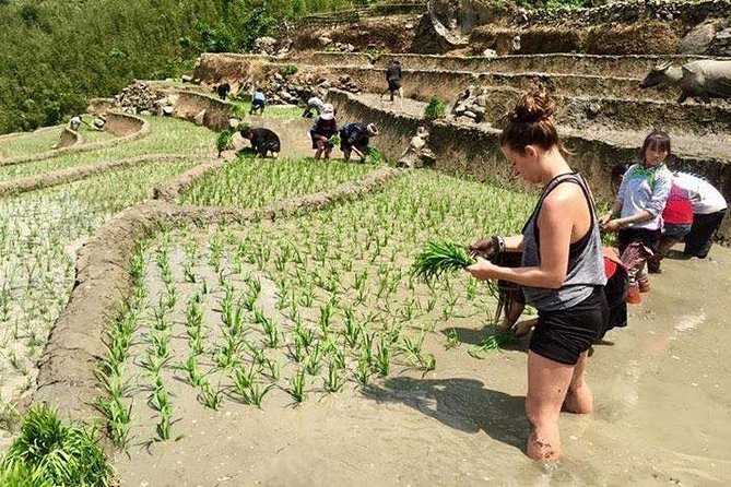 3 Days SAPA Real Experience at Local People House - Day 2: another village trek, field routines, and the longer walking day