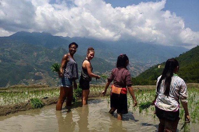 3 Days SAPA Real Experience at Local People House - Day 3: wake with your host, cook breakfast, optional trek through bamboo