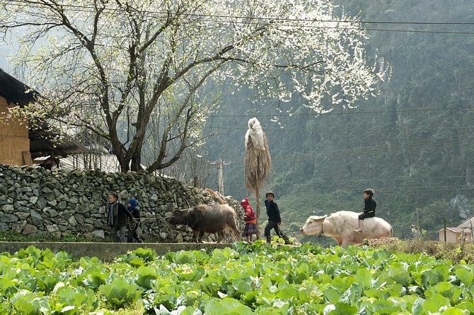 3 Days Sapa Tour with Night Train from Hanoi - Guided trekking that keeps you off the stress path