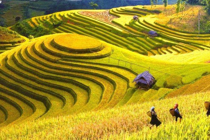 3 Days Sapa Tour with Night Train from Hanoi - Cat Cat village trekking: a great view day, not two identical hard hikes