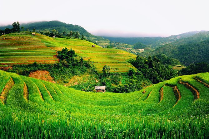 3 Days Sapa Tour with Night Train from Hanoi - Transport, comfort, and the realities of a 3-day circuit
