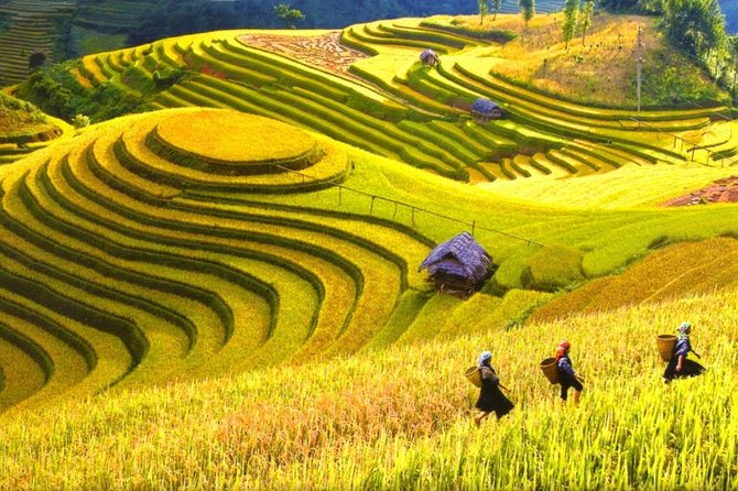3-Night Sapa Trek and Homestay with Round Trip Transfer from Hanoi - Overnight train to Sapa, why it changes the whole trip