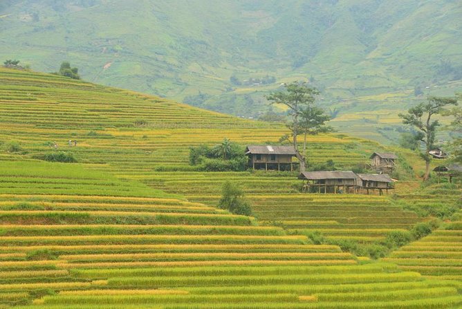 3-Night Sapa Trek and Homestay with Round Trip Transfer from Hanoi - Logistics that matter: timing, drop-off, and flexibility