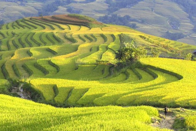 3-Night Sapa Trek and Homestay with Round Trip Transfer from Hanoi - Day 2: Trekking the Muong Hoa valley toward Giang Ta Chai