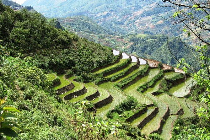 3-Night Sapa Trekking Tour from Hanoi - Day 1: Hanoi Pickup, Overnight Train, and Settling In