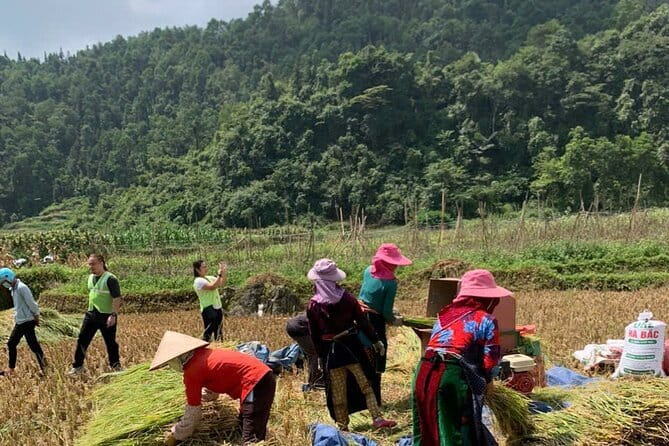 4-Days - Ha Giang loop- Cao Bang and Ban Gioc waterfall - Food, homestays, and learning local life without forcing it
