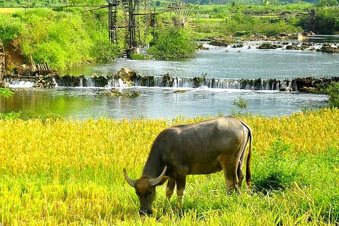 5, 6, 7 day Vietnam Itinerary | Charming | 2026 Northern Packages - Small-Group Hanoi to the Bay, Without the Chaos