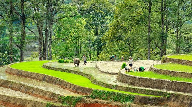 5-Day North Vietnam: Hanoi -Halong Bay -Ninh Binh-Sapa from Hanoi - The Route: Hanoi, Ninh Binh, Sapa, Then Halong Bay