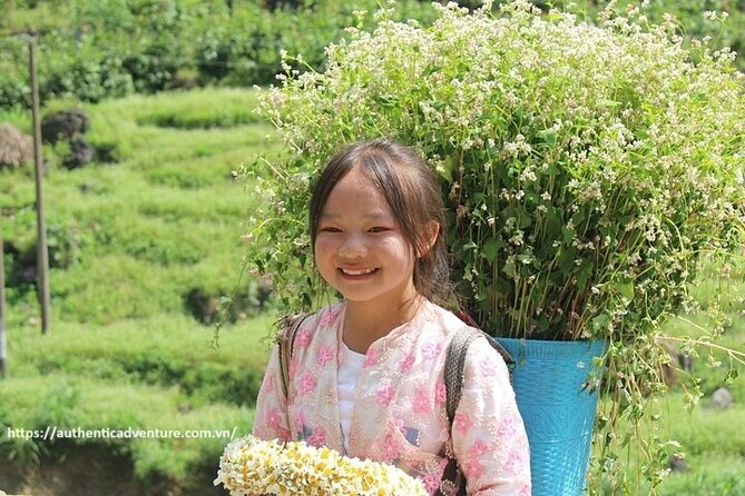6 - 8 Day Vietnam Itinerary | Magnificent | Best 2026 Northern - Day 4 in Ha Giang Province: Heaven’s Gate at 1,500m and Sung La Valley roads