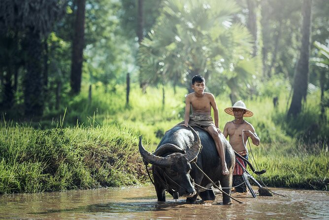 6 Days 5 Night Ha Long Bay, Ninh Binh and Sapa Tour - Key highlights to pay attention to