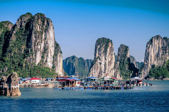 7-Day Vietnam Itinerary | Explore | Best 2026 North and Central - Halong and Lan Ha Bay Cruise: Sunrise Tai Chi and Island Time
