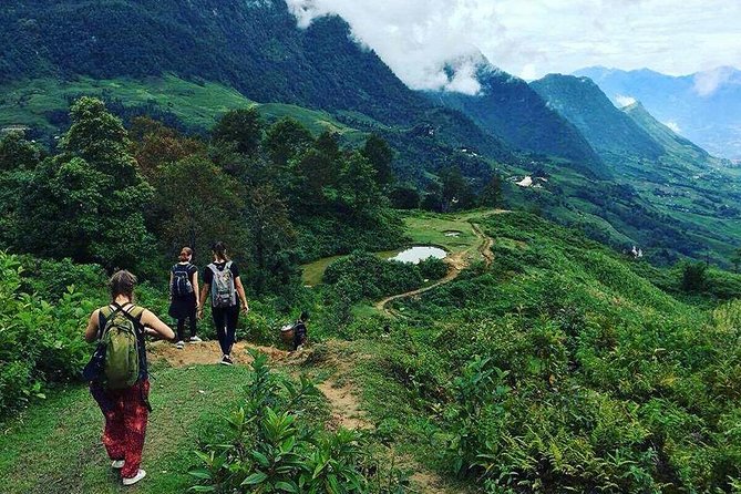 7 Days Package Hanoi- Halong -Sapa-Ninh Binh - Ninh Binh in one full day: Hoa Lu, Tam Coc boat, biking at Bich Dong, and Mua Caves views