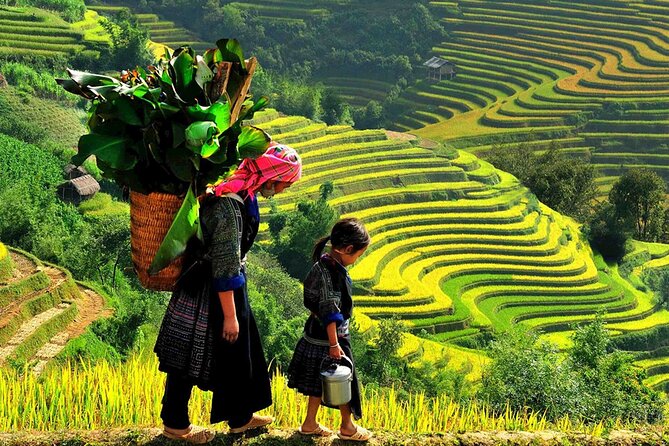 7 Days Vietnam Travel (Hanoi- Ninh Binh - Sapa - Ha Long) - Day 2 Ninh Binh: Hoa Lu, Tam Coc boat, and the Mua Cave steps