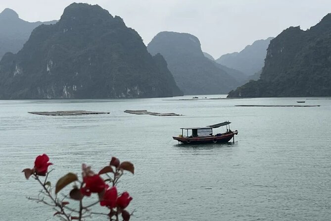 8 Days Package Tour in Vietnam - Hoi An style, Cam Thanh basket boat, crabs, and the Thu Bon river walk