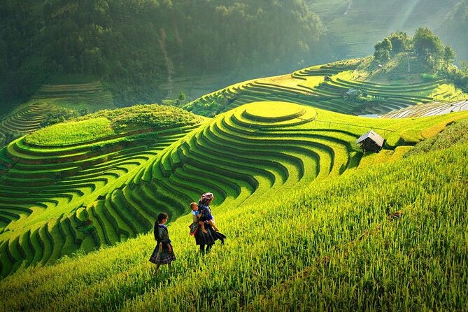 Amazing Sapa Fansipan Cable Car - Trekking: Fun, Majestic fr Sapa - Fansipan Cable Car and the 3,143 Meter Surprise