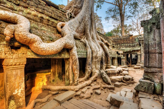 Authentic of Vietnam & Cambodia Tour - full package - Cu Chi Tunnels: A Serious Look With Guided Context (Day 9)