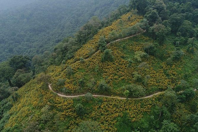 Ba Vi National Park Private Tour: Sightseeings & Jungle Hikking - Ba Vi National Park in one long day from Hanoi