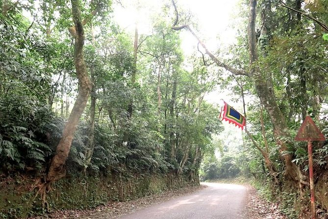 Ba Vi National Park Private Tour: Sightseeings & Jungle Hikking - From Hanoi to the pine forest: the ride that shapes your hike