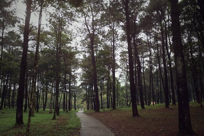 Ba Vi National Park Private Tour: Sightseeings & Jungle Hikking - Ngoc Hoa cave route: why it works even if you’re not a hard-core hiker