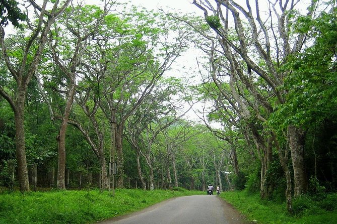 Ba Vi National Park Private Tour: Sightseeings & Jungle Hikking - Timing and pacing: how to make it feel like a guided day, not a rush