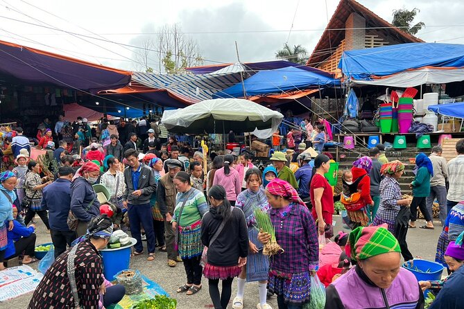 Bắc Hà Sunday Market Tour 2 days and 1 night - Day 2: breakfast at the homestay, then trek toward the market