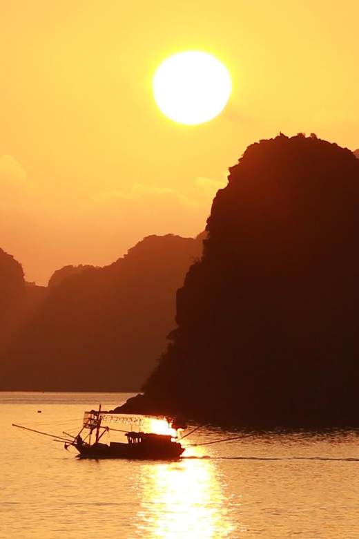 Bai Tu Long Bay 2 Days 1 Night With Renea Cruise - Who This Cruise Fits Best