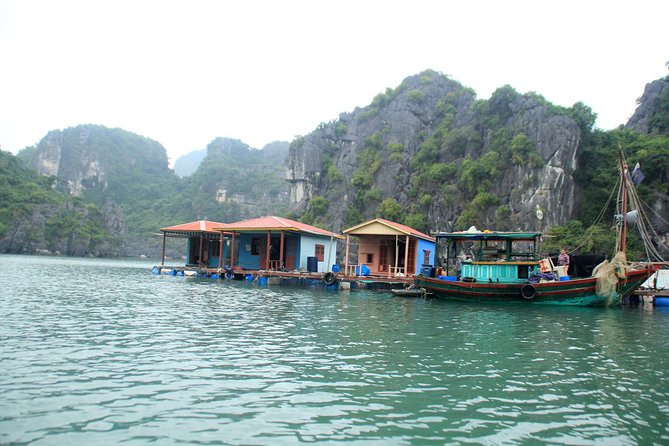 Bai Tu Long bay Boutique Cruise 2D/1N: Kayaking & swimming at pristine places - Meals and the value of what’s included at $140
