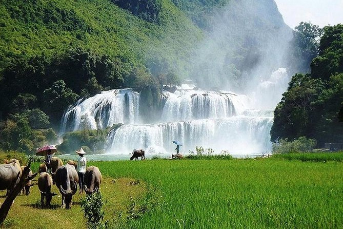 Ban Gioc Waterfall 3 Days 2 Nights From Hanoi - What the included meals and water coverage means for your budget