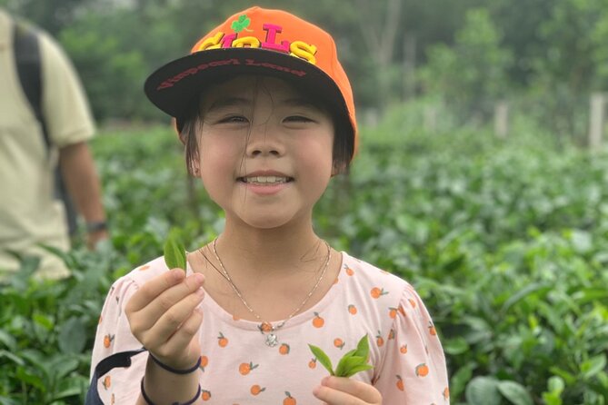 Bavi Eco Tour: Immerse in Authentic Village Life Outside Hanoi - Cycling through paddy fields: the most active part of the day