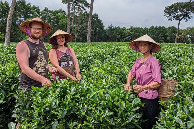 Bavi Eco Tour: Immerse in Authentic Village Life Outside Hanoi - Leaving Hanoi: the ride to Ba Vi and the first taste of country pace