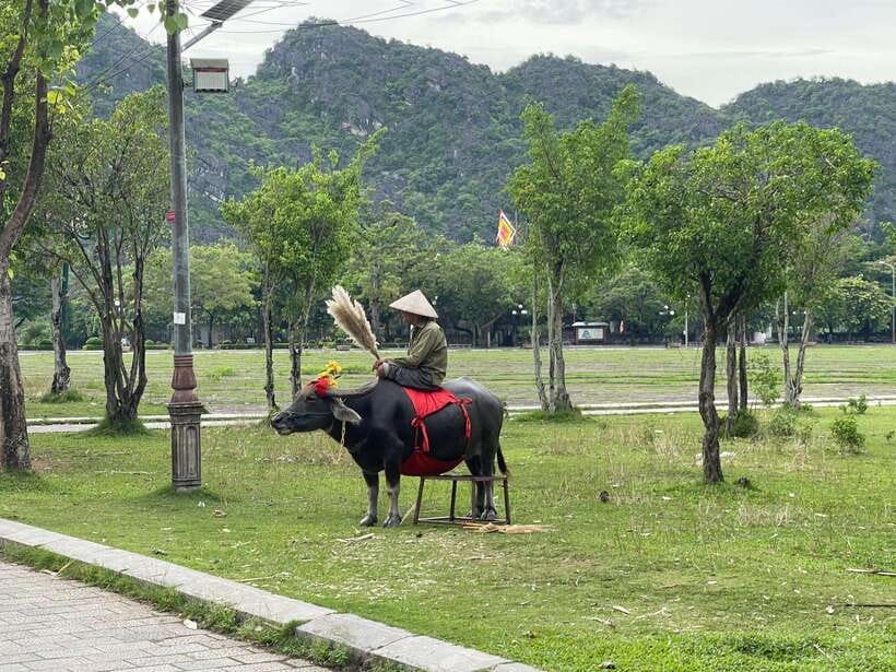 Best Ninh Binh Tour 1-Day, Small Group - Multiple Options - FAQ