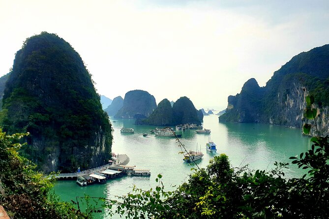 Best seller Halong bay 6 hours cruise - Stop 2: Sung Sot Cave and the Cruise Lunch (Including Vegan)