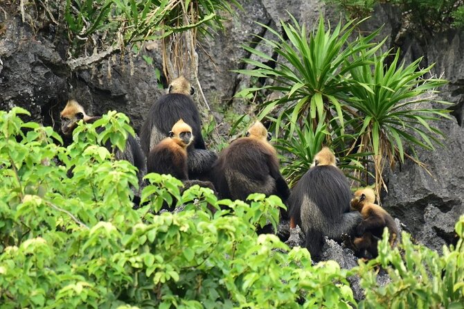 BEST UNIQUE 3-Day Halong Bay Cruise, Lan Ha & Cat Ba Island - Cabins and Cat Ba hotel comfort: what the A/C means, and where it can wobble