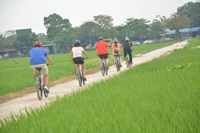 Bicycle Tours Hanoi: Full Day Bicycle Tour Hanoi Countryside - Lại Đà bonsai visit, wet market fruit tasting, and the lotus lake break