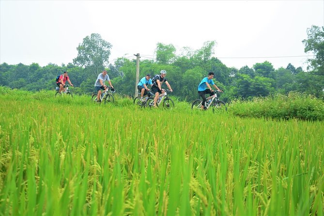 Bicycle Tours Hanoi: Full Day Bicycle Tour Hanoi Countryside - Red River cruise back to Hanoi, a calm finish instead of a sprint