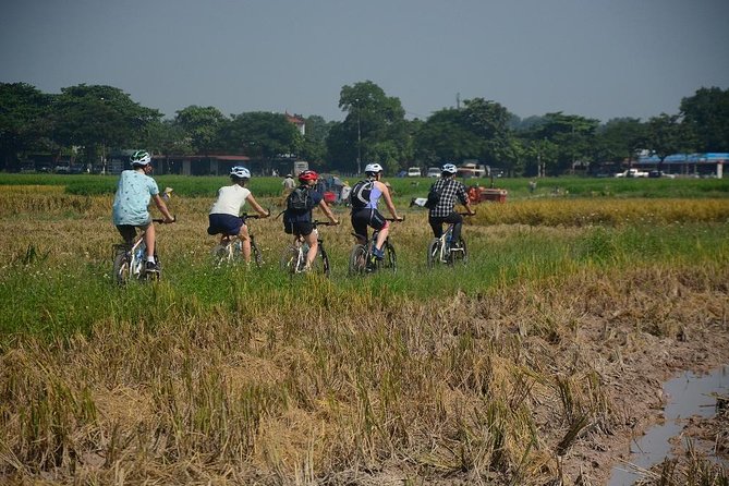 Bicycle Tours Hanoi: Full Day Bicycle Tours City & Countryside - Co Loa Citadel, wet market fruit tasting, and sugarcane juice