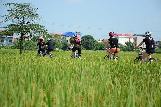 Bicycle Tours Hanoi: Full Day Bicycle Tours City & Countryside - Dong Anh and the Red River: the countryside break you came for