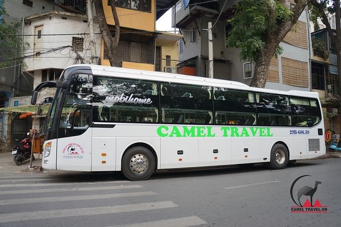 Bus ticket Ninh Binh To Phong Nha - Practical Advice for Your Booking and Ride Day