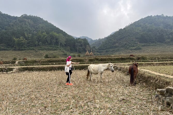 Cao Bang Easy Trekking Tours 2Days/1Night Ban Gioc Waterfall ET1 - Day 1: Ngao Cave, Bong Son Tay village, and a loop of easy trekking