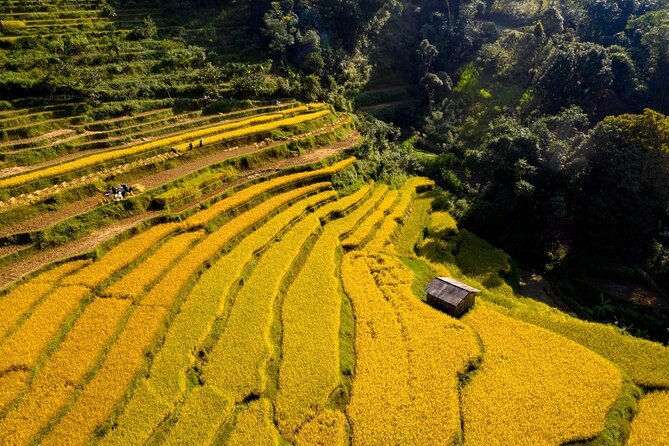 Cao Bang Loop Tour 3D2N by Motorbike, Car or Jeep - Pac Bo: a first taste of Cao Bang without burning the whole day