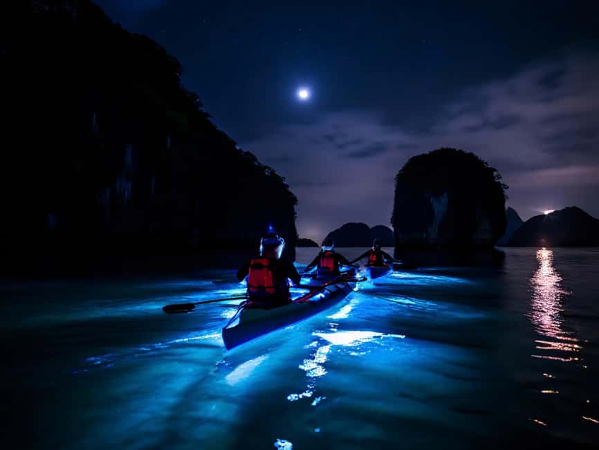 Cat Ba: 2-Day Lan Ha Bay Cruise with Plankton Excursion - Day 1: 4 pm pickup, sunset cruising, and check-in to a floating homestay