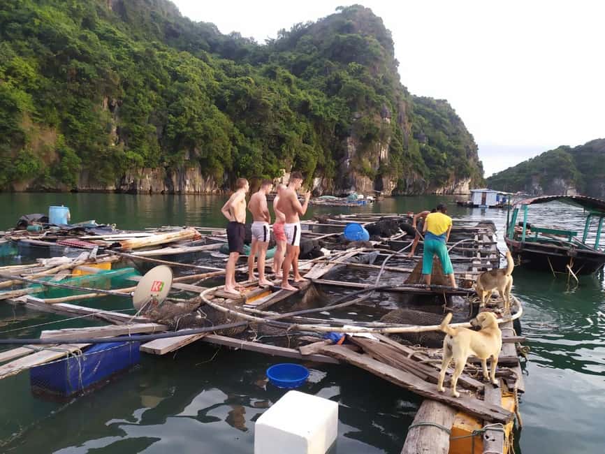 Cat Ba: 2-Day Lan Ha Bay Cruise with Plankton Excursion - Day 2 morning: dawn air, breakfast, and the 9 am boat cruise