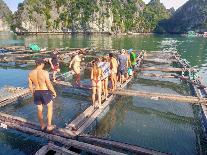 Cat Ba: 2-Day Lan Ha Bay Cruise with Plankton Excursion - Lunch at noon, islets by name, and your sundeck downtime